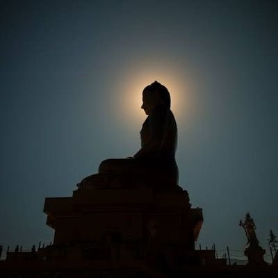 Dinesh51097688's profile picture. 