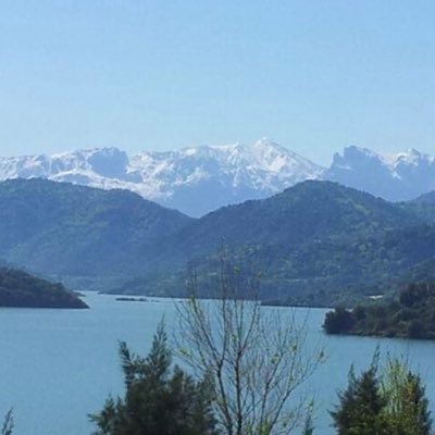 CherrakJihene's profile picture. Open Mindset