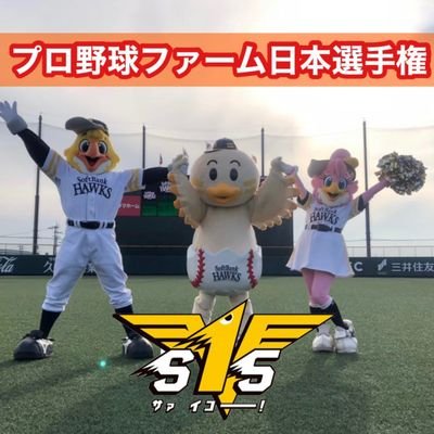 ジョン ママ على تويتر ジョンは 朝夕の散歩が大好きで 出掛けるときいつも嬉しいを くるくる回って表現するのに この日はしてくれなかった 迷い犬 行方不明犬