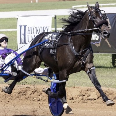 Son of Always B Miki p, 1:46 and Shebestingin p, 1:47, I was undefeated in 10 starts as a two-year-old in 2020. Trained by @joehollowaystab.