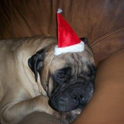 sandraHouldswor's profile picture. 