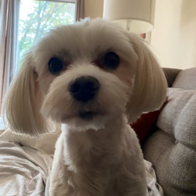 goodnightbudXp's profile picture. 