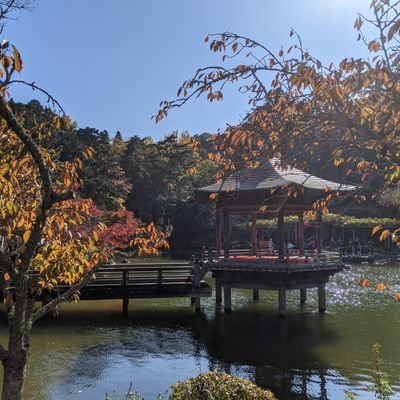 写真とドライブと一人旅。
週末旅をこよなく愛しています。
写真はスマホカメラ。
ゆる~く生きる。
街かどスナップ。
