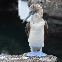 Greta Giljan (@gretag28780110) 's Twitter Profile