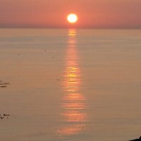 Dr Anna (@annadrjox) 's Twitter Profile