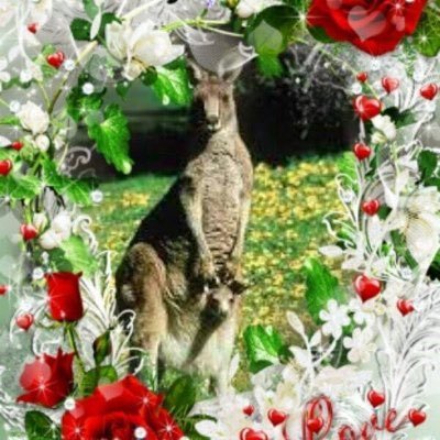 QscSuwaidan's profile picture. 