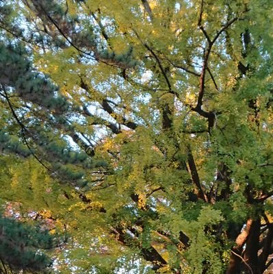 aizspa's profile picture. カクヨムで作品を掲載しております。
新しくなろうでも投稿をはじめました。
カクヨムではしょっちゅう自主企画やってるます
小説家の方と繋がりたいです。

てきとーに呟きます。
下記はほしいものリストです。貰ったらさえずります。