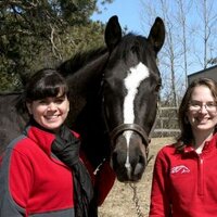 Sarah Pratt - @HorseJobs Twitter Profile Photo