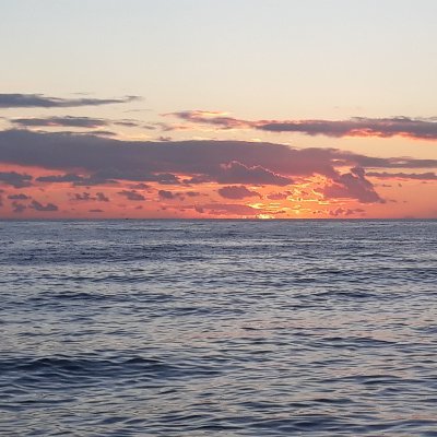 miijjrr's profile picture. بحبيك سورية قلعة العرب
مواطن عربي