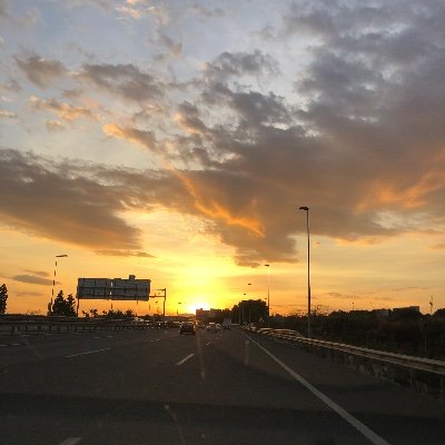 mario_666_GC's profile picture. mariogzzz.