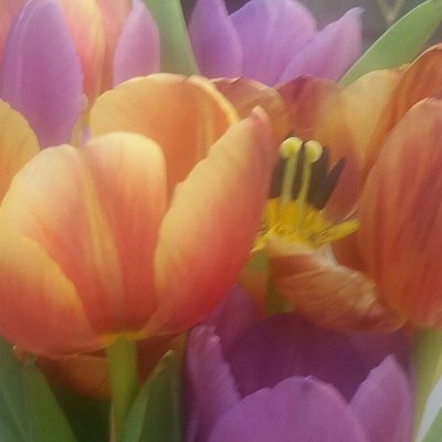 fk_amin's profile picture. Working out how to do more good in a better way. Tackling social inequities @BartlettUCL |@AzizFndn Scholar |Trustee @GroundworkUK| Also here for the memes.