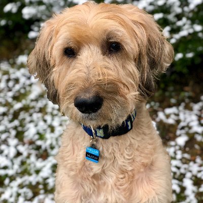 PewdGamer14's profile picture. 