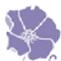 Beach Plum Spa (@beachplumspa) 's Twitter Profile