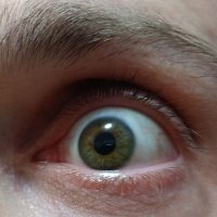 chiamatemibrillo (@tony95586892) 's Twitter Profile