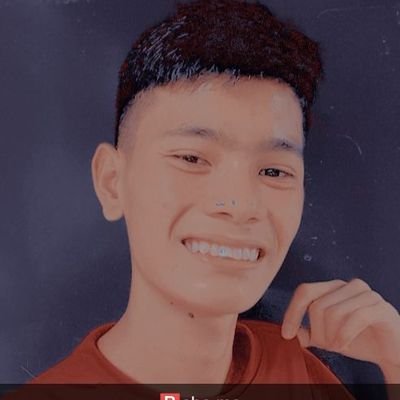 @vinsalazar