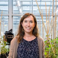 Lori Hoagland (@lori_hoagland) 's Twitter Profile