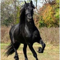 ANIQUILAR LA IMPUNIDAD (@gerbr1) 's Twitter Profile Photo ANIQUILAR LA IMPUNIDAD (@gerbr1) 's Twitter Profile Photo