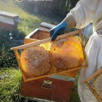 Said (@said55224902) Twitter profile photo