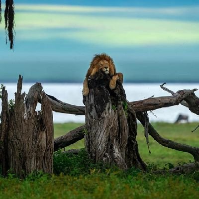 mar_yaam's profile picture. Available at crunch time!

#Culer