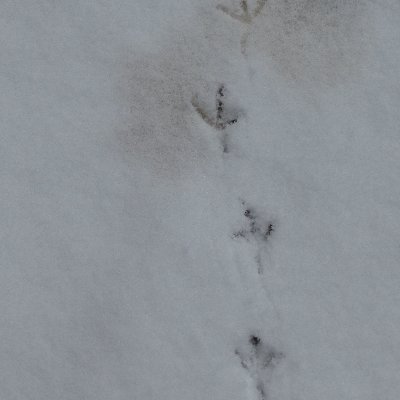 Ask4Nexpert's profile picture. 