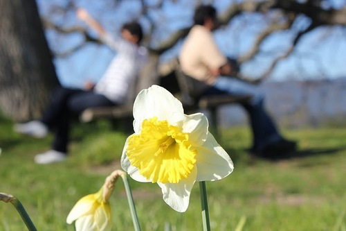 _ketakivaidya's profile picture. 