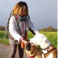 Heike Ziegler (@heikeziegler2) 's Twitter Profile