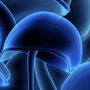 zokgaming's profile picture. Anti social!