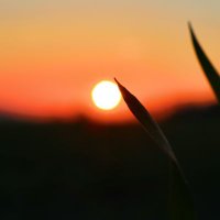 Horizondawn934 (@synthmty) Twitter profile photo