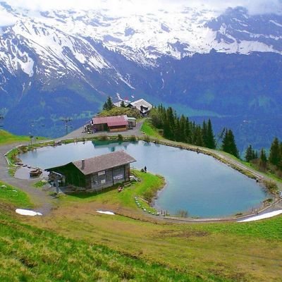 TuDolQ3MNtcO3TH's profile picture. بلادي في قلبي