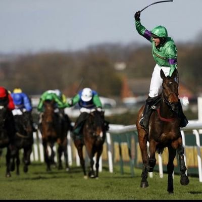 Dailey horse racing picks & bets if you want to enjoy your gambling this is the page for you!
18+ Gamble Responsibly