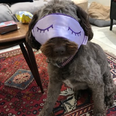 HelenLowe12's profile picture. 