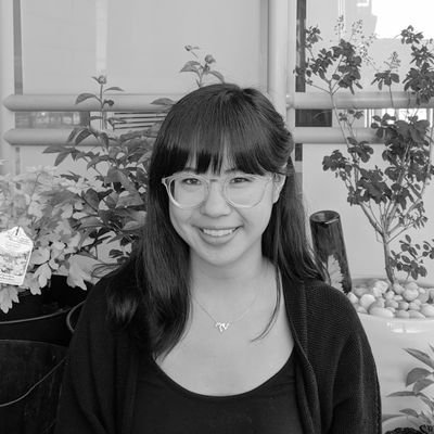 pyliney's profile picture. architect in NYC 👷🏻♀️