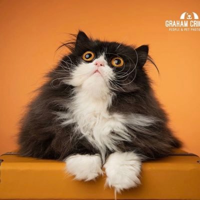 Hi my name is Lomar loving life.looking for some furrrlove