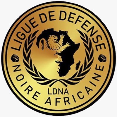 Ligue de Défense Noire Africaine. Milice afro-dangereuse.  #BlackLivesMatter