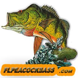 FLPeacockBass Profile Picture