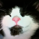 Cathy Silver - @Silvercattech - Twitter