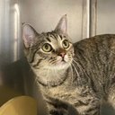 Olga Lane - @OlgaLan88279292 - Twitter