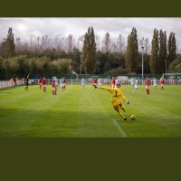 Dom Rogerson (@domrogerson) 's Twitter Profile