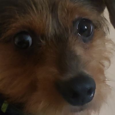 abbygalyy's profile picture. 