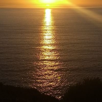 pepofis's profile picture. Non podo cun gato polo rabo...