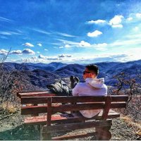 Mustafa Jakubović (@flowman1985) 's Twitter Profile