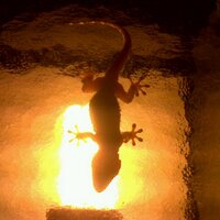 Rita (@yokorda) 's Twitter Profile