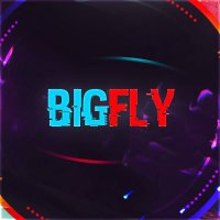 Bigfly®️ (@_bigfly) 's Twitter Profile