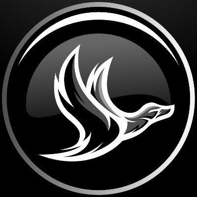 Warzone streamer from the PNW 🏔 | https://t.co/wekR2t1KIv or https://t.co/OpvVVbefWa