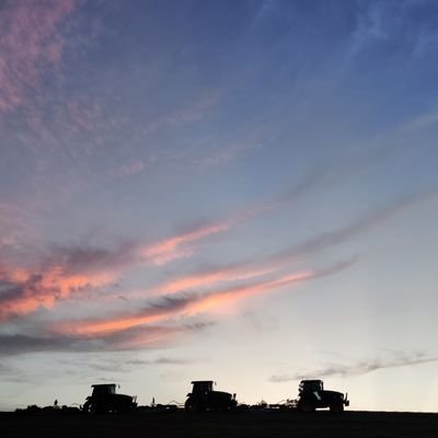 PhD Candidate at LSU (Chung lab) | Developmental geneticist | He/him