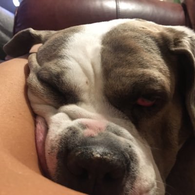 DumbBitchAlert7's profile picture. 