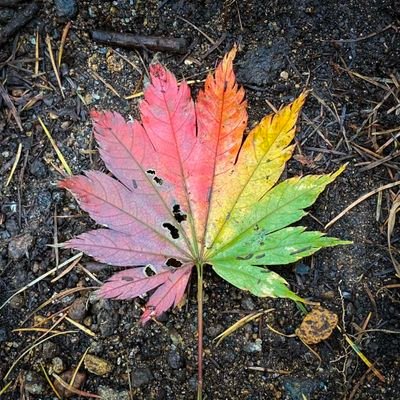 いしーさんのプロフィール画像