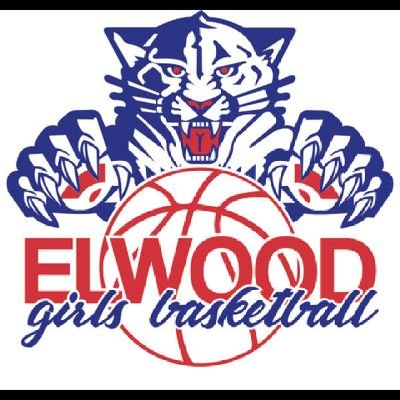 Elwood Lady Panthers Basketball 🏀💙❤️