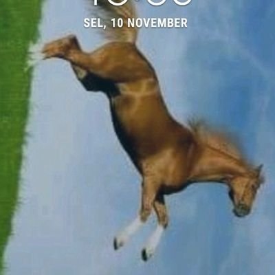 teo_lopis's profile picture. pekerjaserabutan