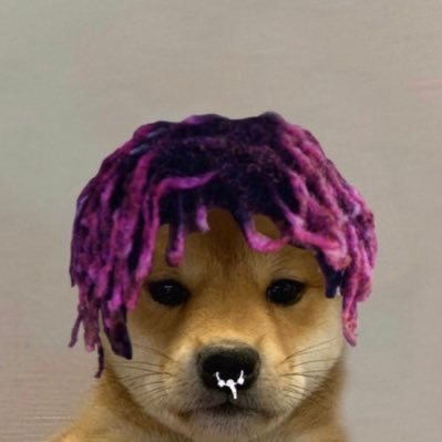 WydMasonn's profile picture. 22 | 👶🏻🐐